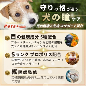 ペッツプラス プレミアムアイX5 主成分5倍 犬専用サプリメント ペッツプラス プレミアムアイX5 | ペッツプレミア
