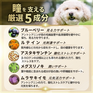 犬専用サプリメント ペッツプラス プレミアムアイX5 | ペッツプレミア
